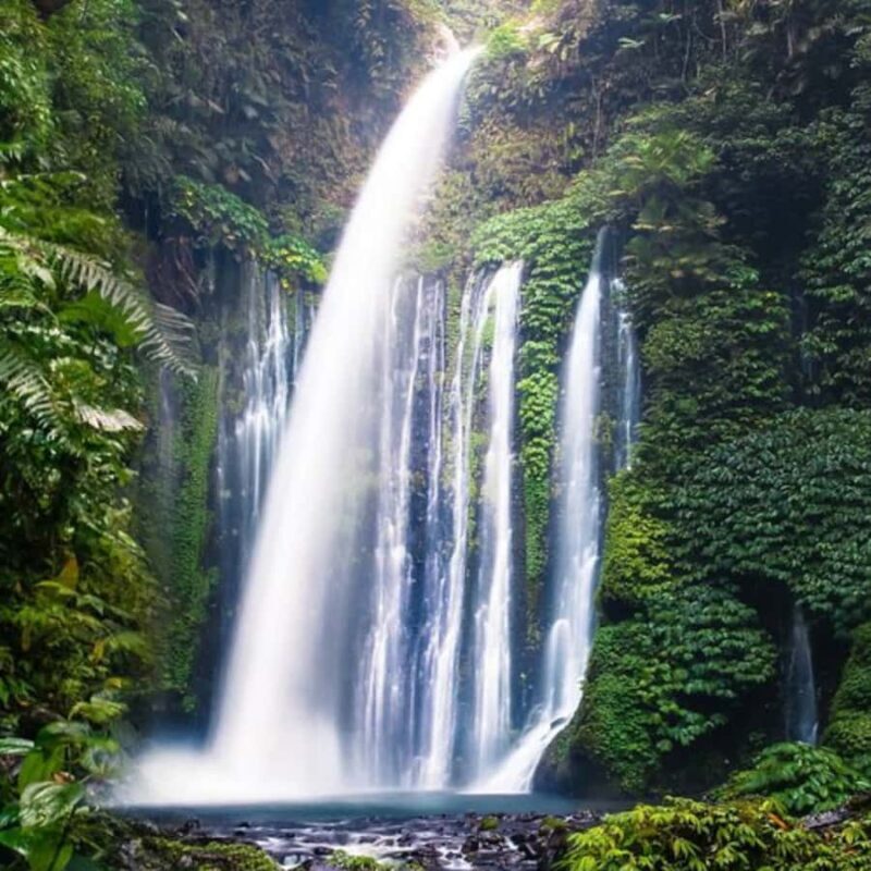 One Days Tours Panorama Walk Around Senaru Village - Good To Know