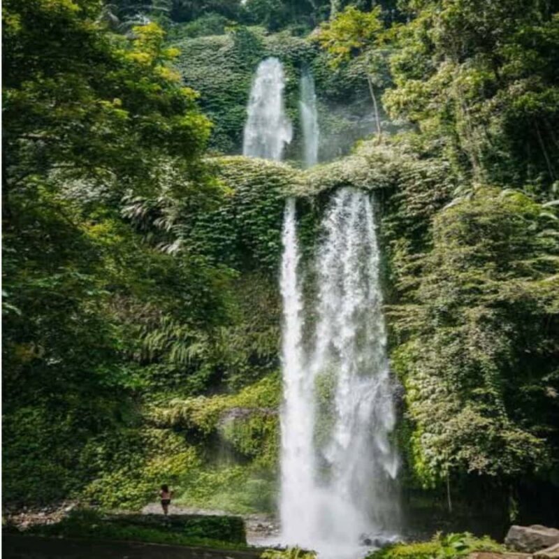 One Days Tours Panorama Walk Around Senaru Village - The Day in Detail: What You Can Expect