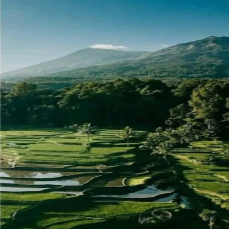 One Days Tours Panorama Walk Around Senaru Village - Why This Tour Stands Out