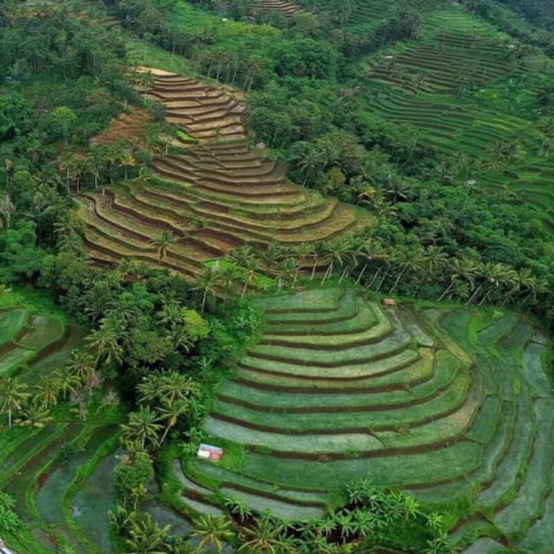 One Days Tours Panorama Walk Around Senaru Village - FAQ