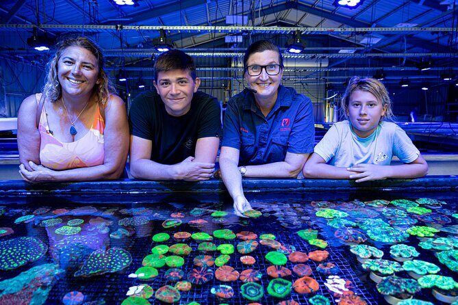 One Hour Coral Farm Tour, Discover Australia's Marine Life - Exploring Australias Marine Wonders: The One Hour Coral Farm Tour
