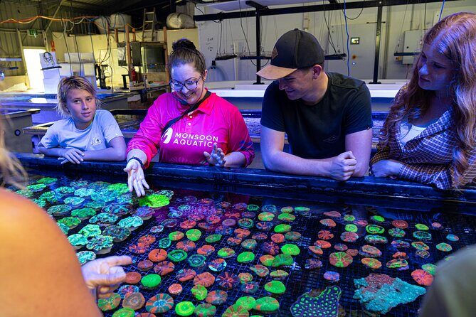 One Hour Coral Farm Tour, Discover Australia's Marine Life - A Closer Look at the Coral Farm Tour