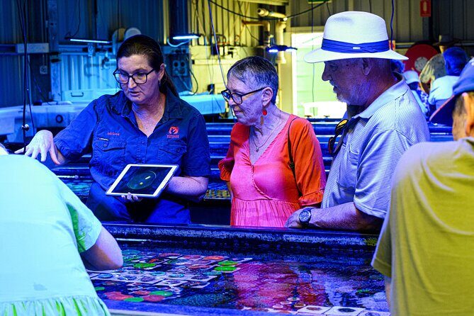 One Hour Coral Farm Tour, Discover Australia's Marine Life - Who Will Love This Tour?