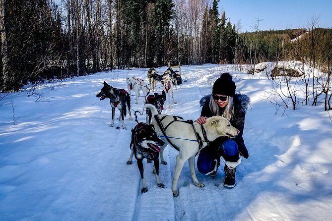 One Hour Experience Dog Sledding - FAQ