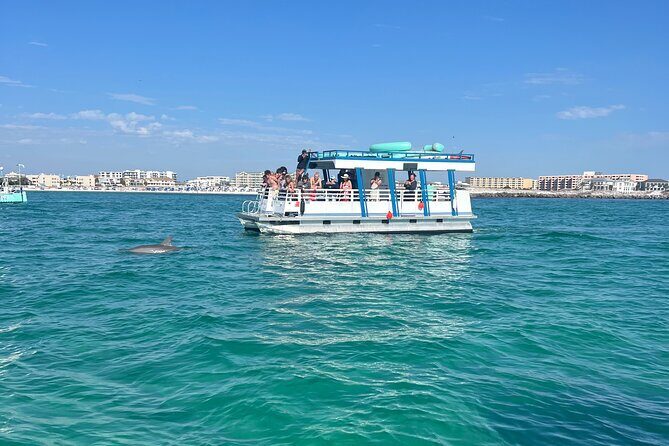 One Hour Harbor Shared Tour with Dolphin Watching - The Experience of Dolphin Watching