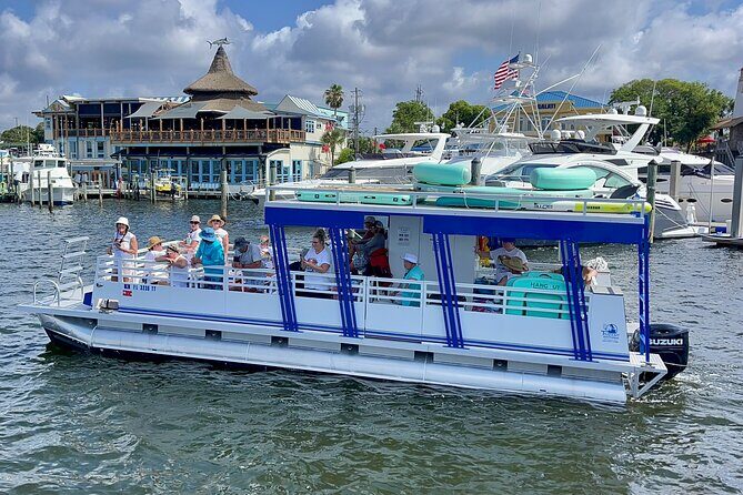 One Hour Harbor Shared Tour with Dolphin Watching - Practical Details: What You Need to Know