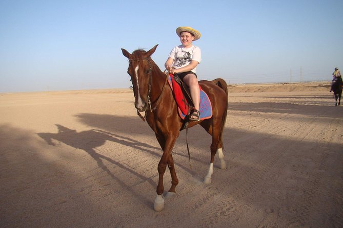 One Hour Horse Riding at Amazing Desert With Transfer - Sharm El Sheikh - Pricing and Booking Details