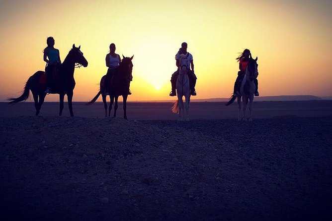 One Hour Horse Riding at Amazing Desert With Transfer - Sharm El Sheikh - Overview of the Experience