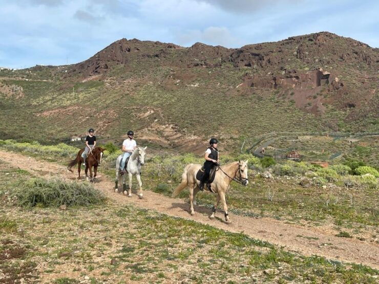 One Hour Horse Riding Tour in Gran Canaria - Good To Know