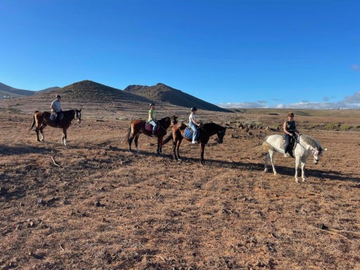 One Hour Horse Riding Tour in Gran Canaria - Tour Details