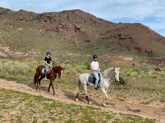 One Hour Horse Riding Tour in Gran Canaria - Experience Description