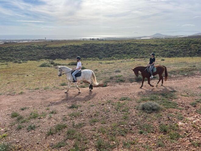 One Hour Horse Riding Tour in Gran Canaria - Meeting Point