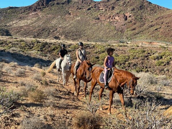 One Hour Horse Riding Tour in Gran Canaria - Directions