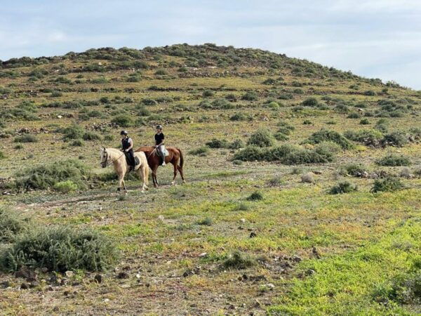 One Hour Horse Riding Tour in Gran Canaria - Translated Customer Review