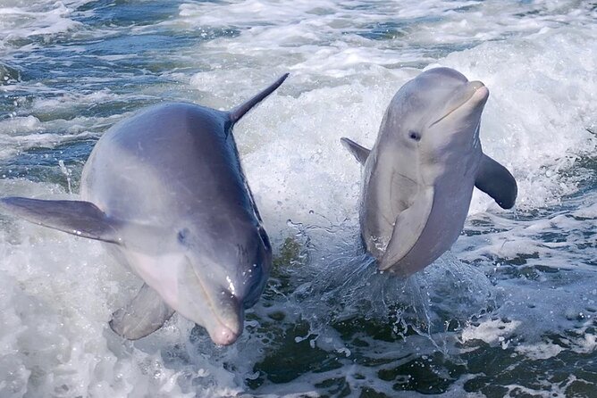One Hour Noosa Thriller Powerful Jet Boat Tour  - Noosa & Sunshine Coast - Inclusions