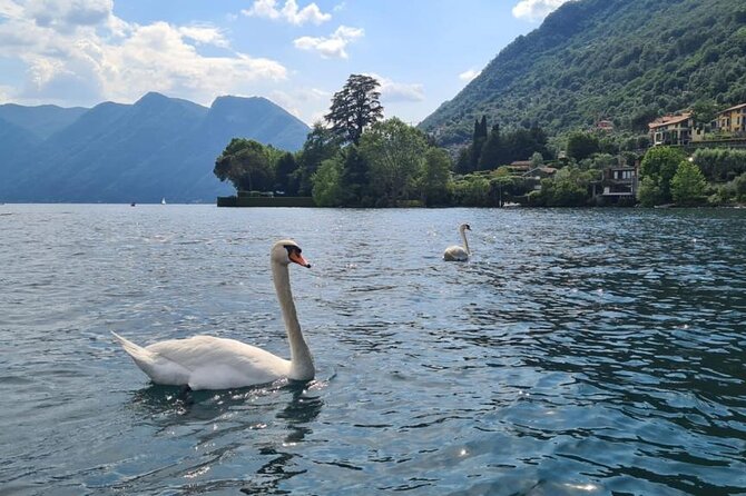 One Hour Private Speedboat Cruise on Lake Como - Additional Information