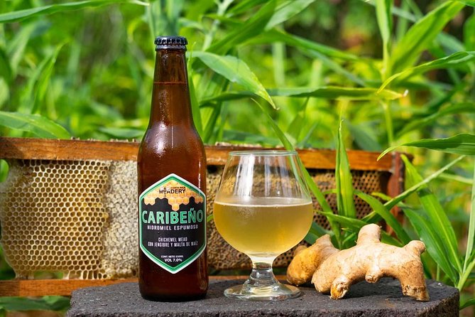 One Hour Wine, Beer, and Mead Guided Tasting in Costa Rica'S Central Valley - Tour Duration and Location
