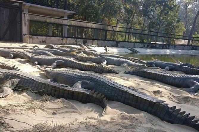 One Night Chitwan Tour From Kathmandu or Pokhara, Return Trip - Common Questions