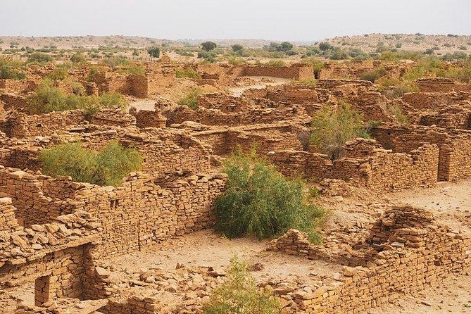 One Night One Day Desert Safari Tour - Tour Details