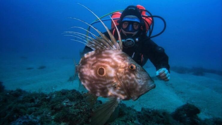 One Scuba Diving Day Trip to Costa Brava - Activity Details