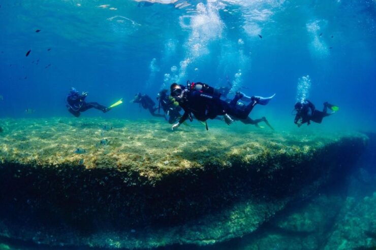 One Scuba Diving Day Trip to Costa Brava - Booking Information