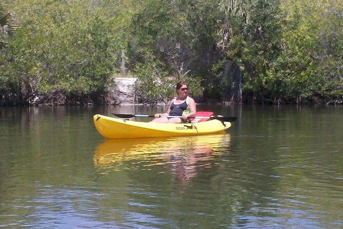 One Single Kayak Rental for 2 hours with Manatee & Dolphin sightings! - Exploring the Indian River Lagoon: A Closer Look