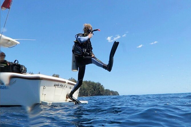 One Tank Boat Dive - Sea Turtles & Tropical Reef - Tour Overview
