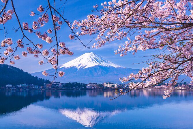 One Way Bus from Kawaguchiko to Tokyo - Final thoughts: Who should book this?