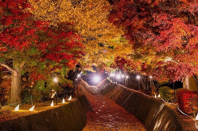 One Way Bus from Kawaguchiko to Tokyo - Frequently Asked Questions