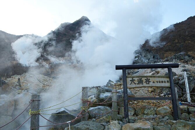 One Way Bus Transfer from Kawaguchiko to Hakone Area - Good To Know