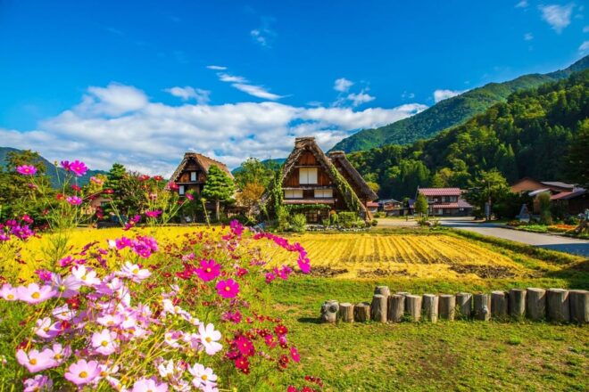 One Way Bus Transportation Kanazawa Shirakawago to Takayama - Meeting Point Details