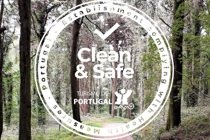 One Way Lisbon to Porto, Through Obidos, Nazare, Alcobaca and Aveiro - Coastal Beauty of Nazare