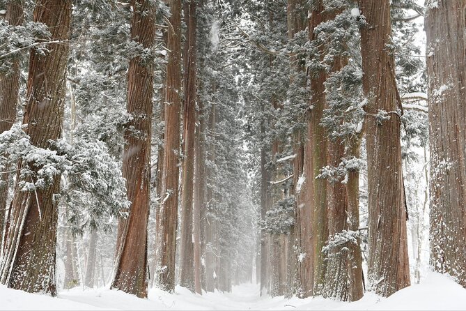 One Way Private Shuttle to Nagano Ski Centers - Additional Information