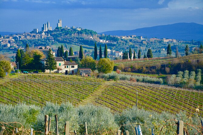 One Way Private Transfer: Florence to Rome With Visit to San Gimignano and Siena - Service Details