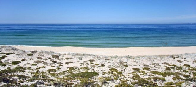 One-Way Private Transfer From Lisbon Airport to Comporta - Vehicle and Amenities