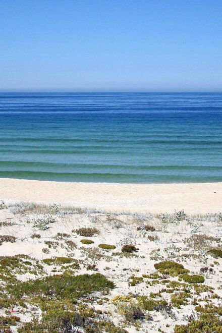 One-Way Private Transfer From Lisbon Airport to Comporta - Driver Information