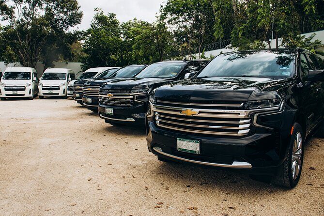 One Way Private Transfer Playa del Carmen - Cancun Int Airport - Good To Know