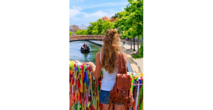 One-Way Private Transfer To/From Lisbon Airport and Aveiro - Activity Highlights