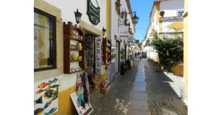 One-Way Private Transfer To/From Lisbon Airport and Óbidos - Good To Know