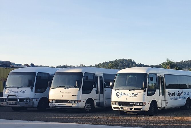One-Way Shared Airport Transfer to Airlie Beach - Questions and Assistance