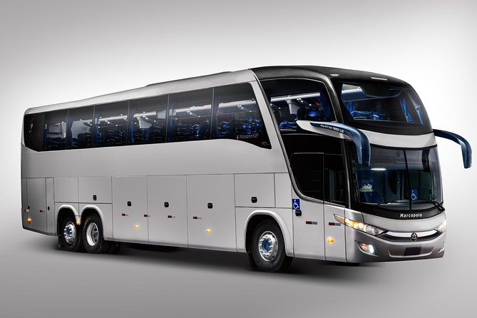 One Way Shared Transfer From Airport to Hotels in Manaus - Transfer Details