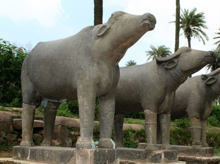 One Way Transfer Agra To Ranthmbore - Frequently Asked Questions