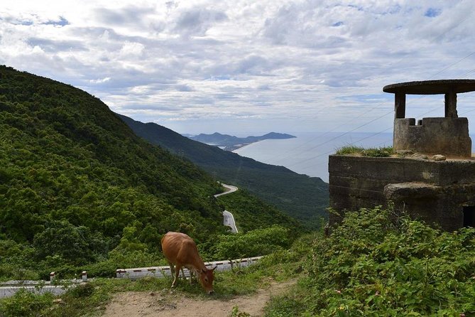 One Way Transfer Tours, to or From Da Nang or Hoi an and Hue via Costal Roads - Expectations and Restrictions