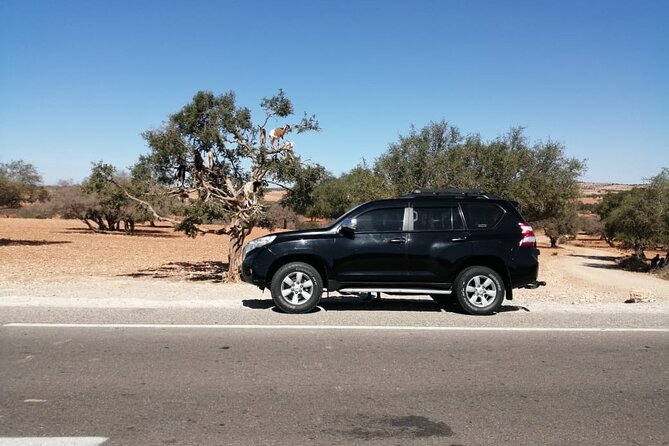 One Way Trip From Fes to Tangier via Chefchaouen - The Sum Up