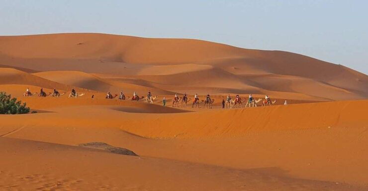 One Way Trip From Fez to Merzouga (Only Transportation ) - Transportation Experience Highlights