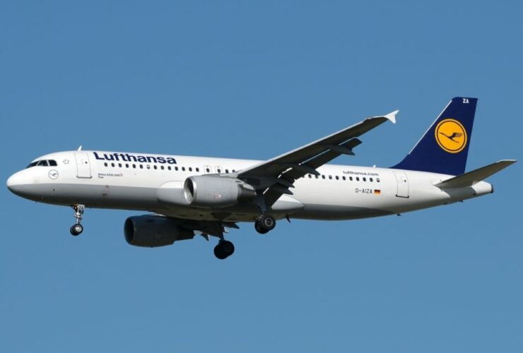 One Way Udaipur Airport To Udaipur Hotel - Service Details