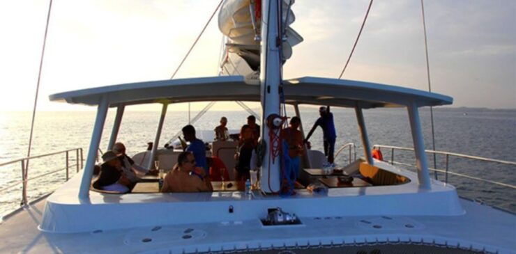 One-week South Coast Nature Cruise - Activity Details