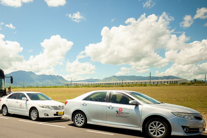 ONEWAY Private Car/Van Transfer: Nadi Airport to Denarau Hotels - Additional Information About the Transfer