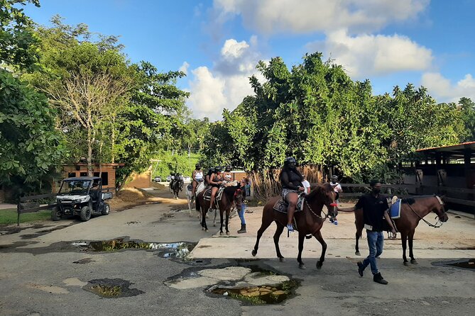 Oneway Transfer Within San Juan (Sju Airport/Hotel/Airbnb/Port) - Common Questions