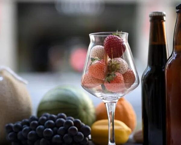 Online Japanese Beer & Fruit Pairing With Beer Sommelier - Local Breweries in Japan